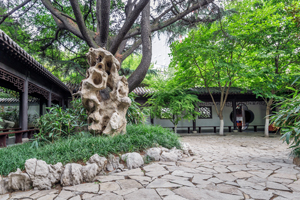 深圳博愛醫院M型植髮：重塑自信的髮際線